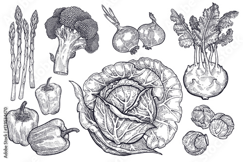 Vegetables set. Vintage graphics.