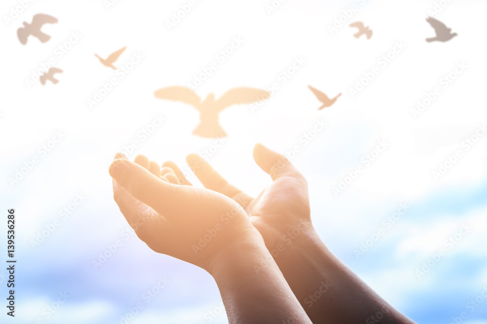 Human hands open palm up worship. Eucharist Therapy Bless God Helping Repent Catholic Easter Lent Mind Pray. Christian concept background. Human hands open palm up worship. Eucharist Therapy Bless God Helping Repent Catholic Easter Lent Mind Pray. Christian concept background.