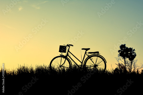 Silhouette of old bicycle on grass with the sky sunset, color of vintage tone and soft focus concept journey © sawitreelyaon