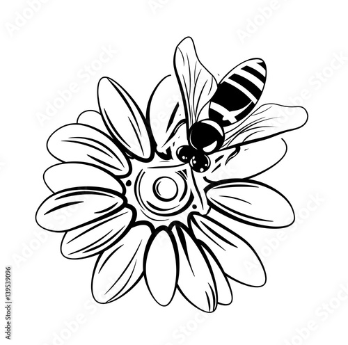 Bee on flower. Vector illustration isolated on white