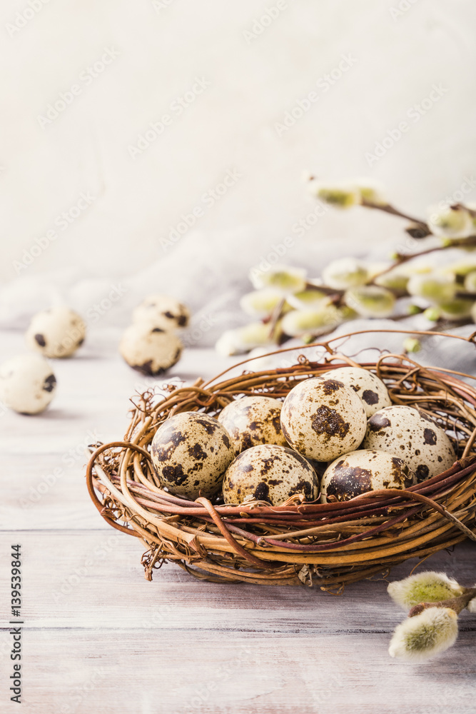 Easter composition of quail eggs in the nest on the light wooden background. Holiday concept with copy space. Easter composition of quail eggs in the nest on the light wooden background. Holiday concept with copy space.