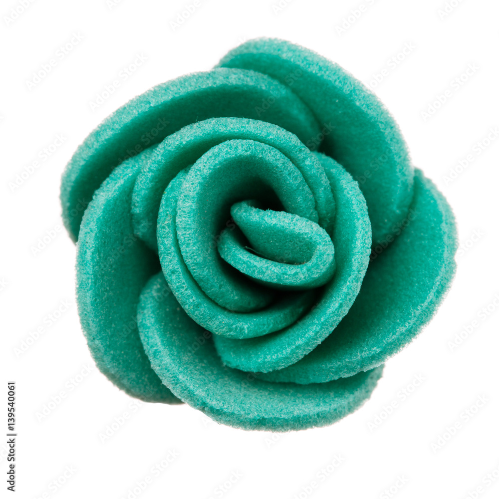 flower head isolated, beautiful decoration, spring and summer concept flower head isolated, beautiful decoration, spring and summer concept