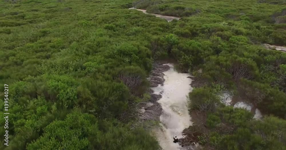 Drone Flying Over Forest Drone Flying Over Forest