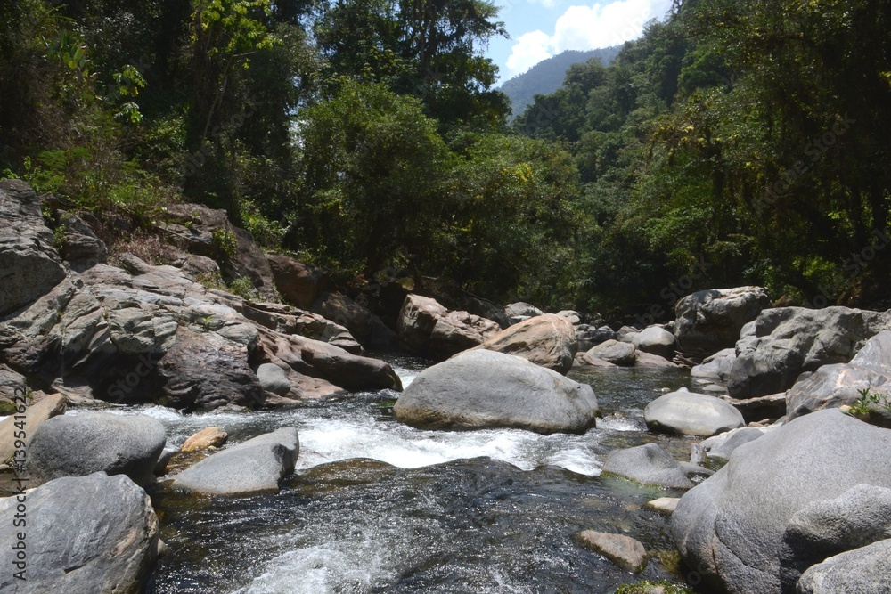 Narrow section of the Rio Buritaca along the trek to Ciudad perdida near Santa Marta northern COlombia. Narrow section of the Rio Buritaca along the trek to Ciudad perdida near Santa Marta northern COlombia.
