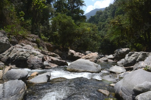 Narrow section of the Rio Buritaca along the trek to Ciudad perdida near Santa Marta northern COlombia. photo