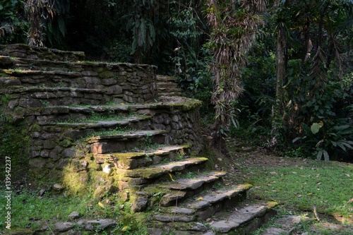 Old stone stairs of the lost city in the thick forest of northern Colombia.