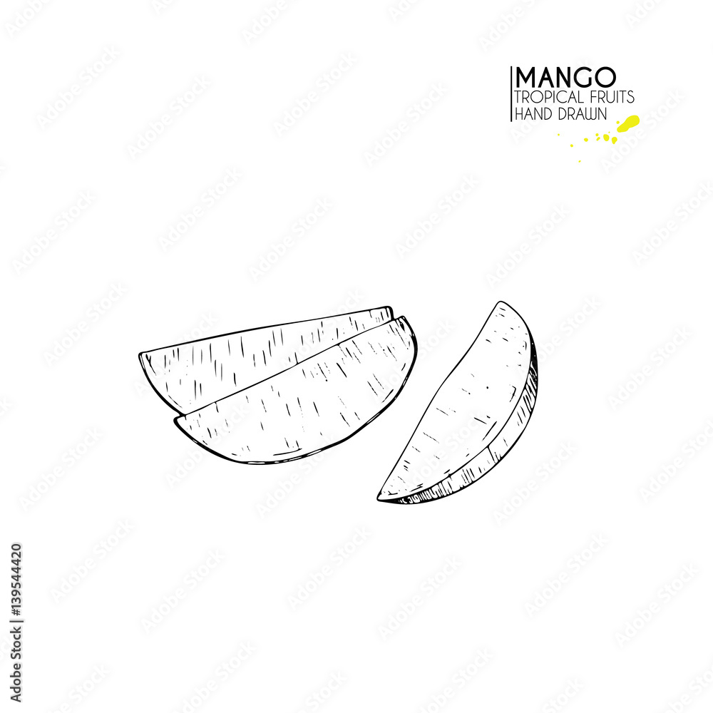 Vector hand drawn set of exotic fruits. Ioslated mango. Engraved art. Delicicous tropical vegetarian objects. Vector hand drawn set of exotic fruits. Ioslated mango. Engraved art. Delicicous tropical vegetarian objects.