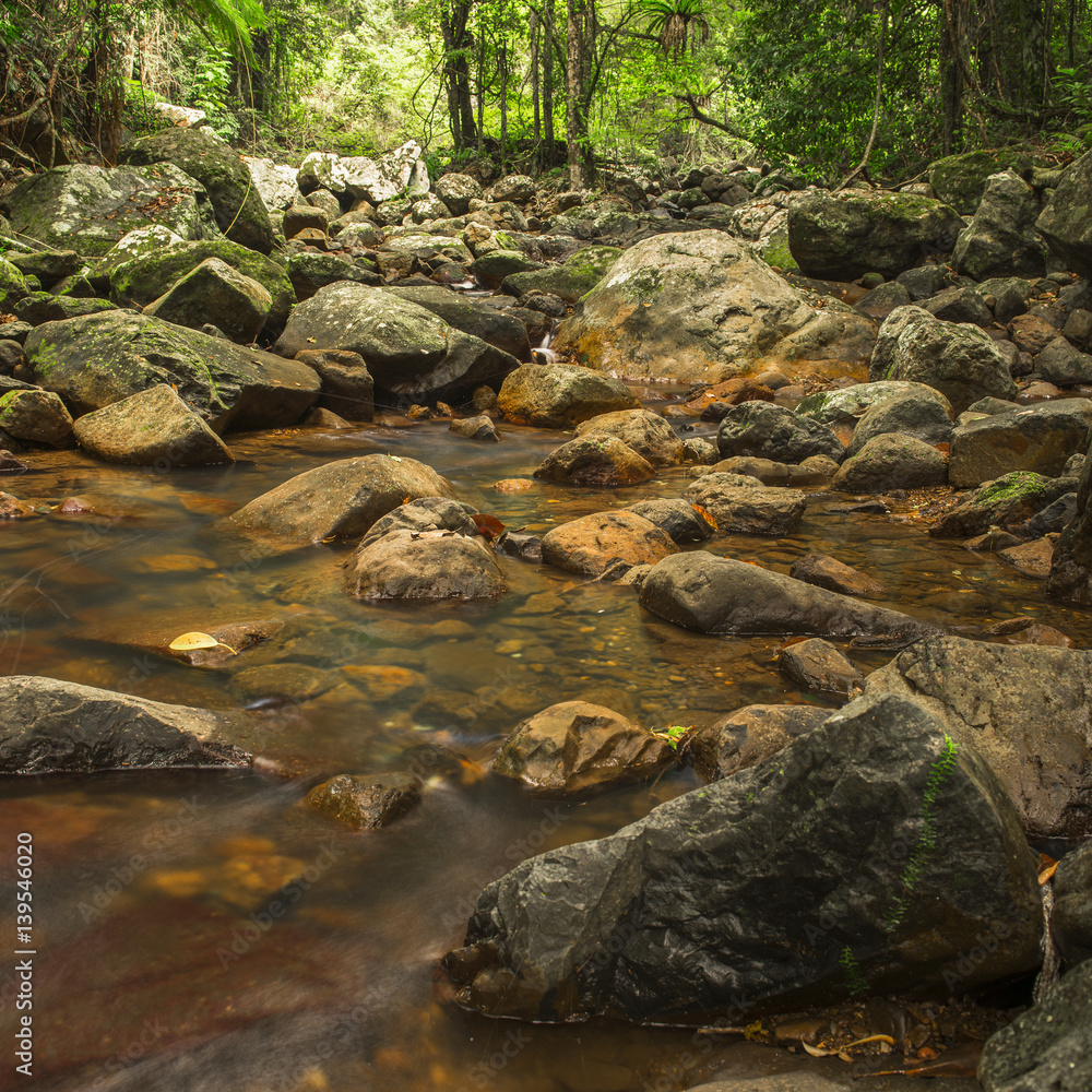 Natural Bridge Creek at Springbrook in Queensland. Natural Bridge Creek at Springbrook in Queensland.