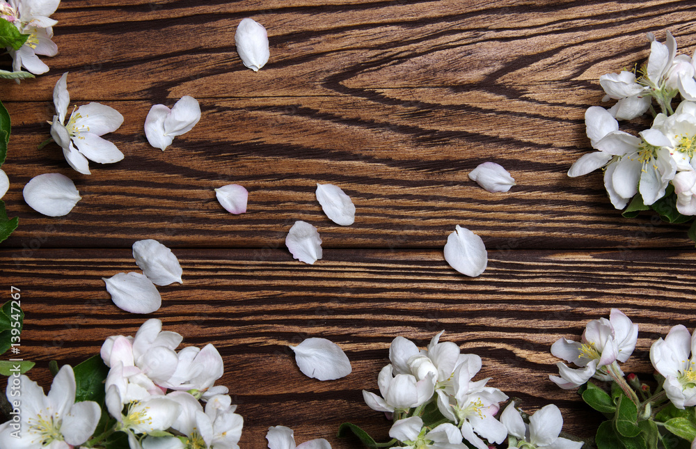 Fototapeta premium Spring flowers on wood