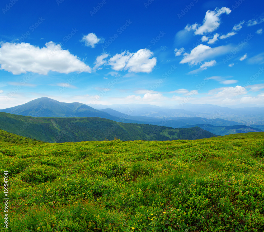 Mountain landscape in the summer Mountain landscape in the summer