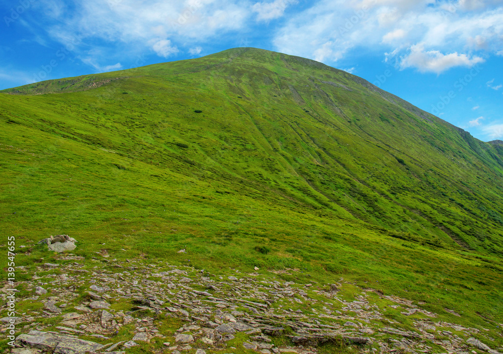Mountain landscape in the summer Mountain landscape in the summer