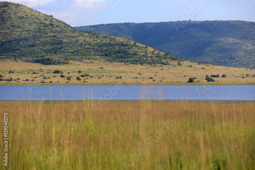 Sawanna w Parku Narodowym Pilanesberg © andrzej_67