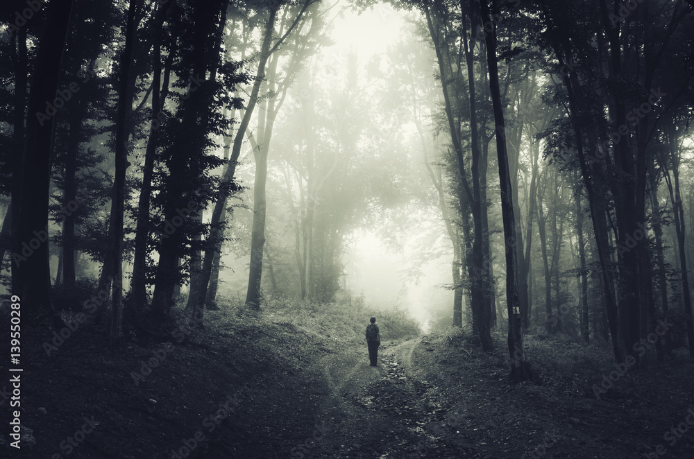 Scary Dark Woods Landscape Man Walking On Forest Road At Night Stock scary-dark-woods-landscape-man-walking-on-forest-road-at-night-stock