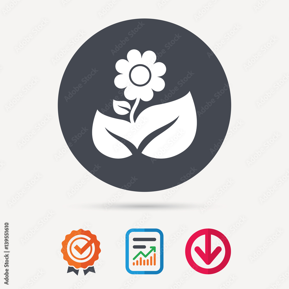Flower icon. Florist plant with leaf symbol. Report document, award medal with tick and new tag signs. Colored flat web icons. Vector Flower icon. Florist plant with leaf symbol. Report document, award medal with tick and new tag signs. Colored flat web icons. Vector
