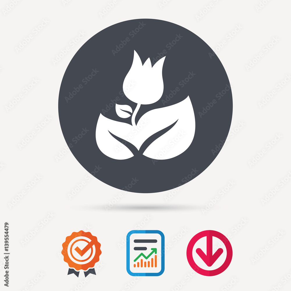 Rose flower icon. Florist plant with leaf symbol. Report document, award medal with tick and new tag signs. Colored flat web icons. Vector Rose flower icon. Florist plant with leaf symbol. Report document, award medal with tick and new tag signs. Colored flat web icons. Vector