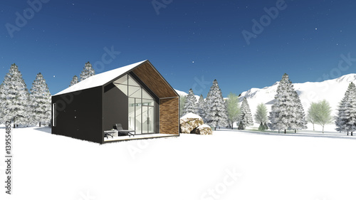 Tiny Modern House on the hill with views of the Mountains,the Lake and the Pine forest