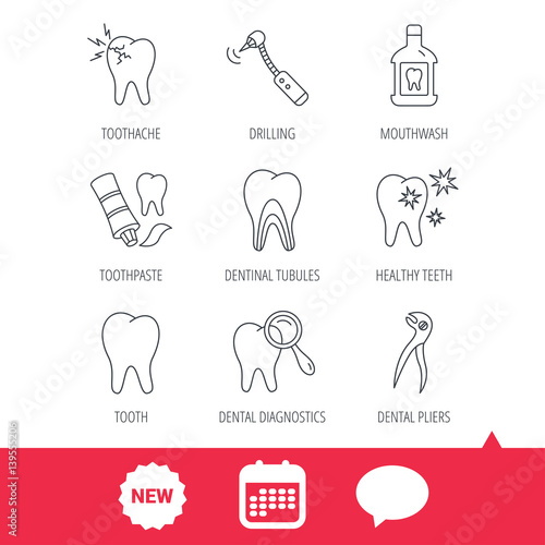Tooth, stomatology and toothache icons. Mouthwash, dental pliers and diagnostics linear signs. Dentinal tubules, drilling icons. New tag, speech bubble and calendar web icons. Vector