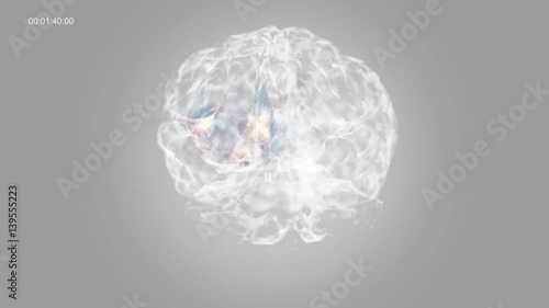 Inside the white Brain of Neuron system