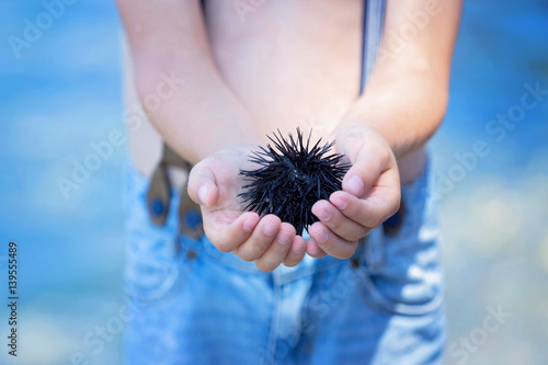 Cute child, holding sea urchin on the beach photo