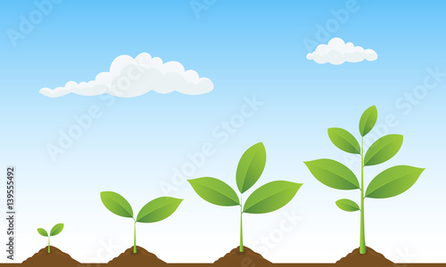 Infographic of planting tree. Seedling gardening plant. Seeds sprout in ground. Sprouts, trees growing icons. Seedling agriculture. Plants growing on beautiful landscape. Vector illustration.