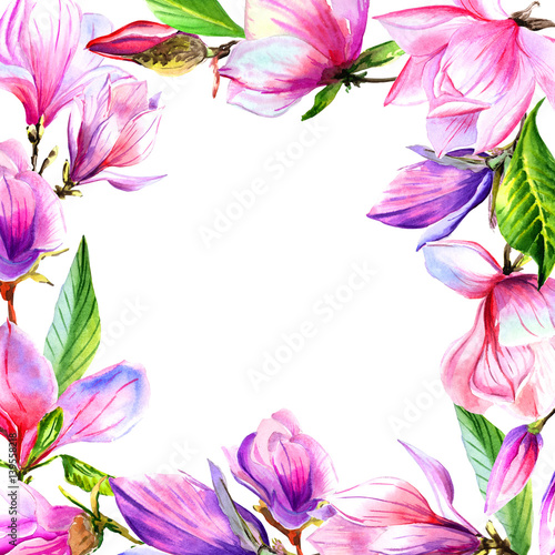 Wildflower magnolia flower frame in a watercolor style isolated.