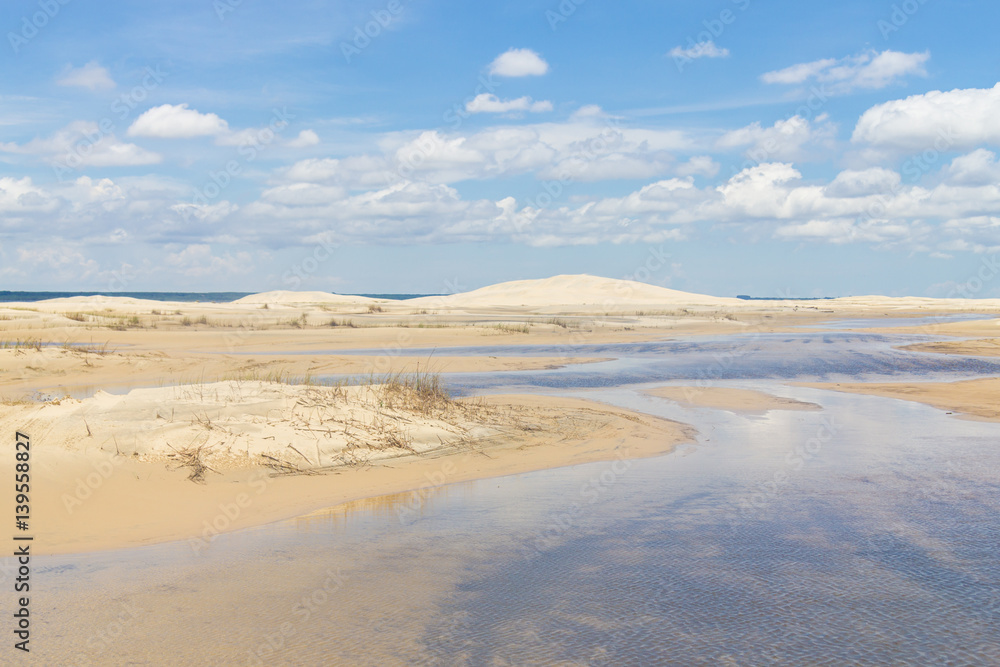 Dunes with some vegetation and puddles at Lagoa do Peixe lake