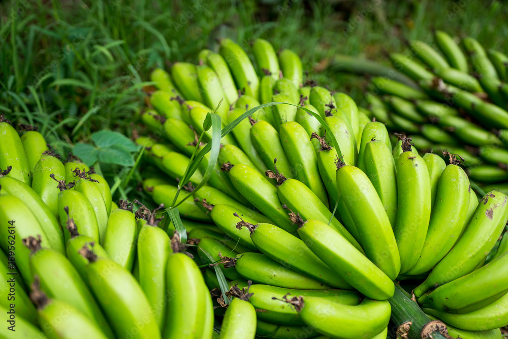 A bunch of bananas