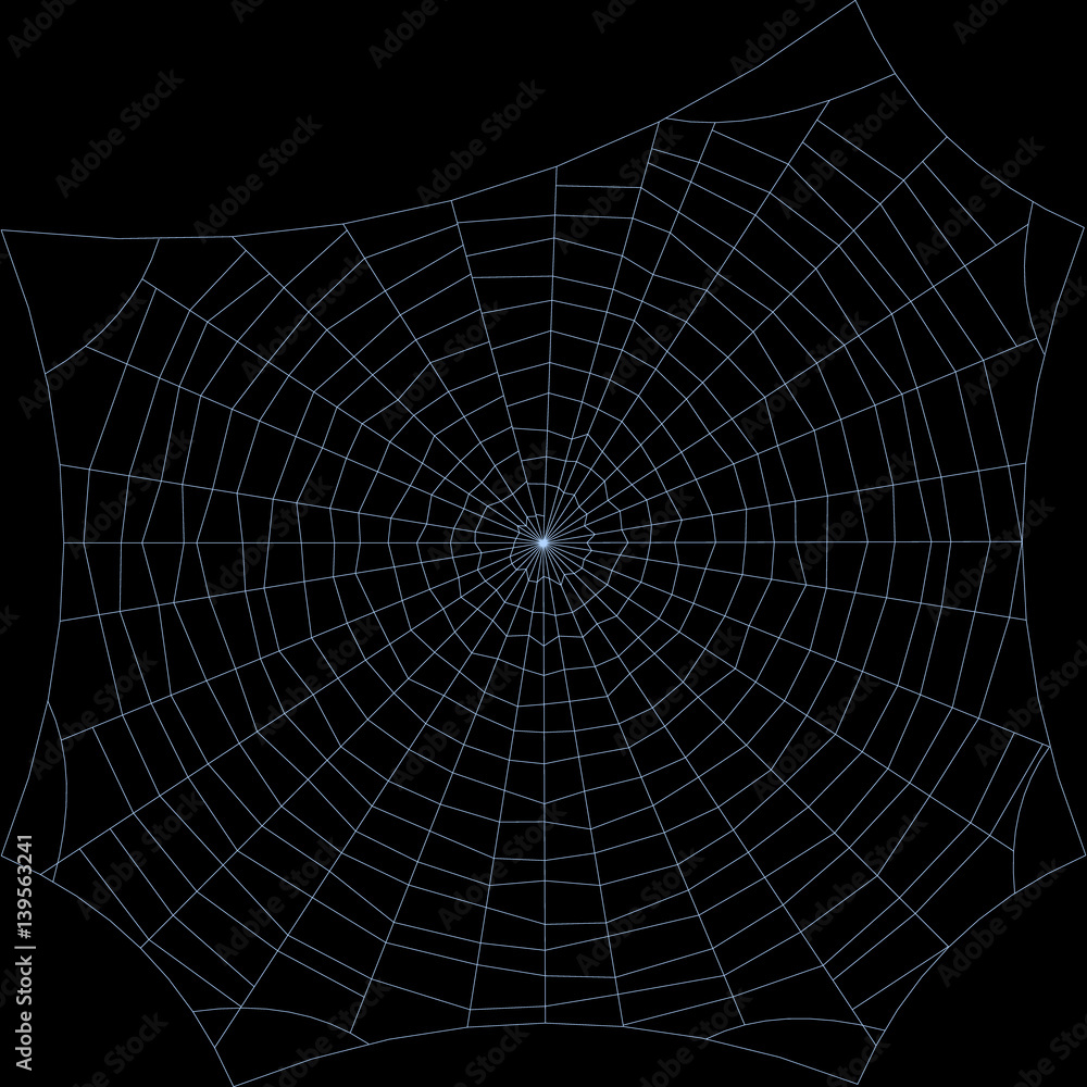Obraz premium Spiderweb. Isolated on black background. Vector outline illustration.