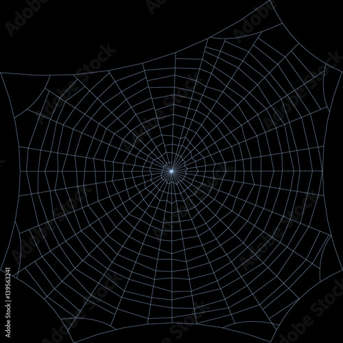 Spiderweb. Isolated on black background. Vector outline illustration.
