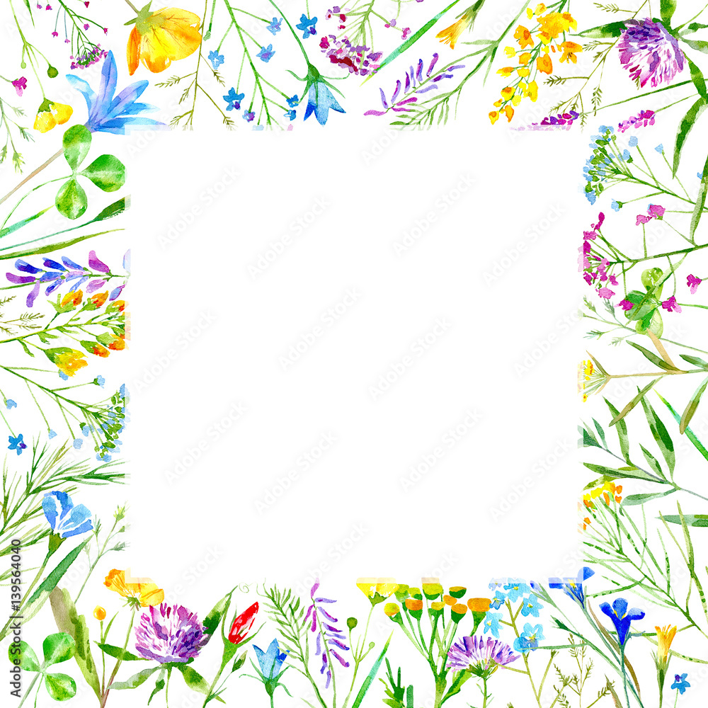 Floral frame of a wild flowers and herbs on a white background.Buttercup,cornflower,clover,bluebell,forget-me-not,vetch,timothy grass,lobelia,snowdrop flowers.Watercolor hand drawn illustration. Floral frame of a wild flowers and herbs on a white background.Buttercup,cornflower,clover,bluebell,forget-me-not,vetch,timothy grass,lobelia,snowdrop flowers.Watercolor hand drawn illustration.