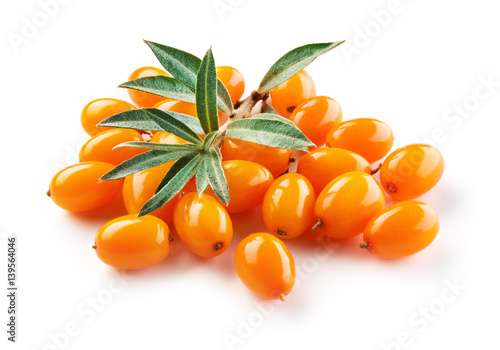 Sea buckthorn. Fresh ripe berries with leaves isolated on white background. photo