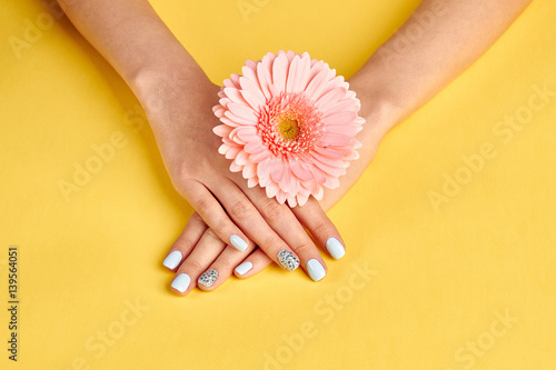 Gentle female hands with pink gerbera.
