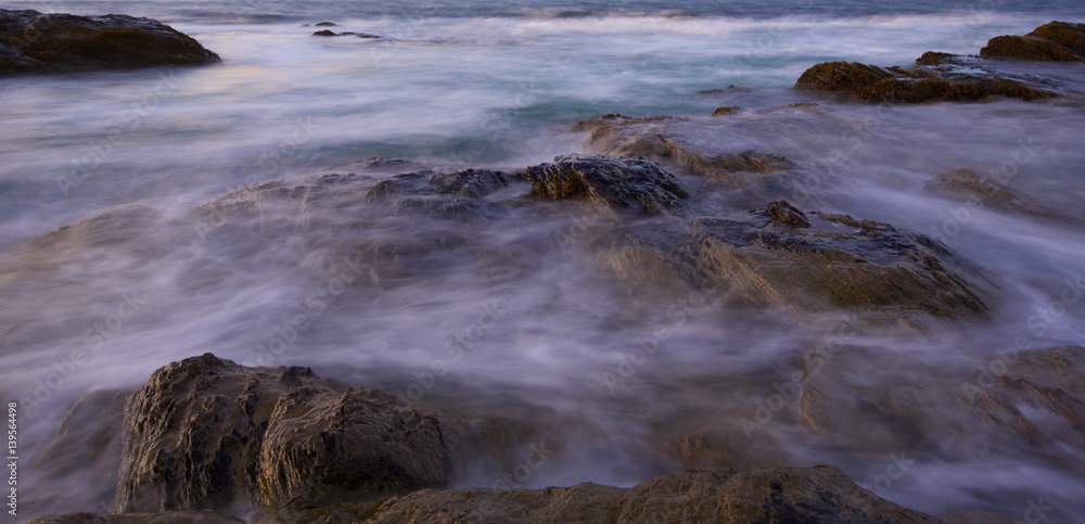 Morning movement on the rocky foreshore