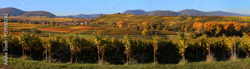 Photos Ilbesheim_Pfalz_Panorama_Herbstlandschaft