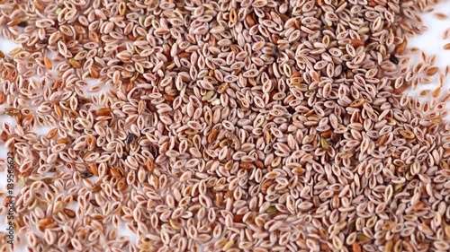 Indian plantain seeds ( Psyllium ) background close-up photo