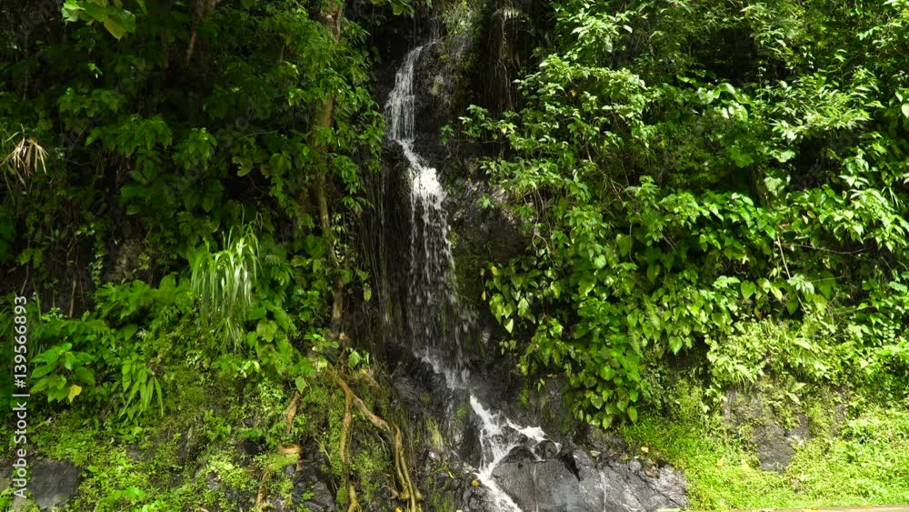 Waterfall in green forest in jungle. Beautiful waterfall in the mountains. Tropical rain forest with waterfall. Philippines, Cebu. 4K video. Travel concept. Waterfall in green forest in jungle. Beautiful waterfall in the mountains. Tropical rain forest with waterfall. Philippines, Cebu. 4K video. Travel concept.