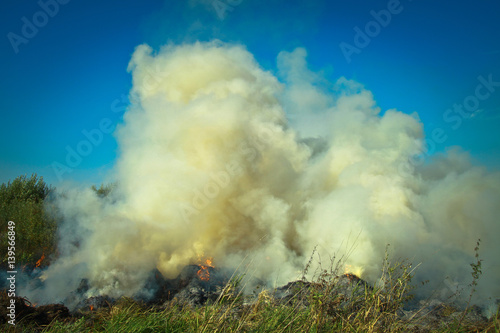 Dry grass burning in the early spring. Burning wood, peat, tragedy and disaster in the field. Background