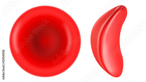 Sickle cell and normal red blood cell illustration photo