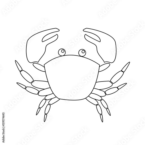 Contour image of crab isolated on white background.