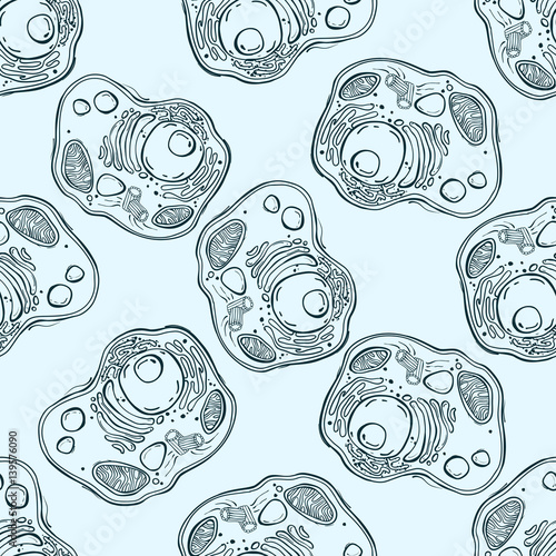 Seamless pattern with animal cells. Vector illustration