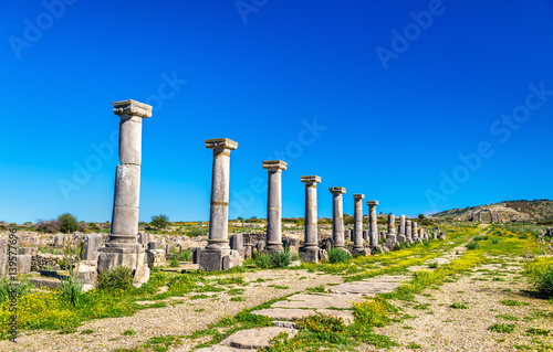 Ruins of Volubilis, a Berber and Roman city in Morocco © Leonid Andronov