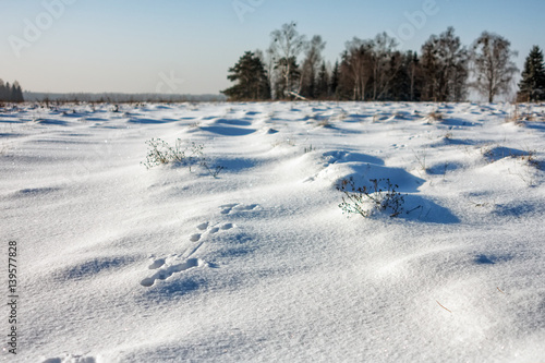 Footprints in the snow. © Виталий Волосевич