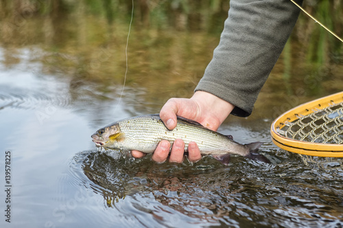 Photography Fisherman caught a fish fly.