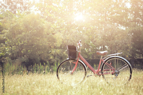 Landscape picture Vintage Bicycle with Summer grass field