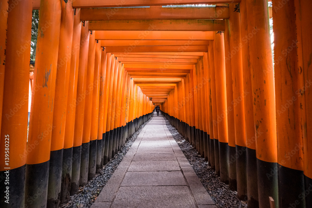 Fushimi Inari Shrine in Kyoto, Japan.It is famous for its thousands of vermilion torii gates. Fushimi Inari Shrine in Kyoto, Japan.It is famous for its thousands of vermilion torii gates.