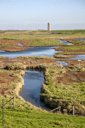 Dutch salt marsh in autumn colors: nature reserve 