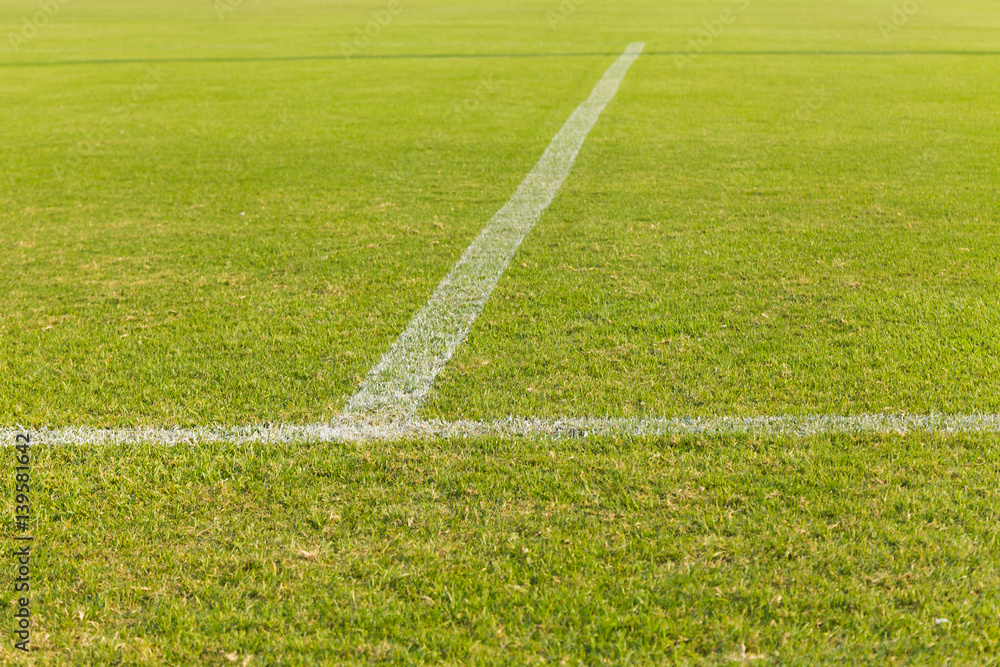 Obraz premium Green grass on the football field