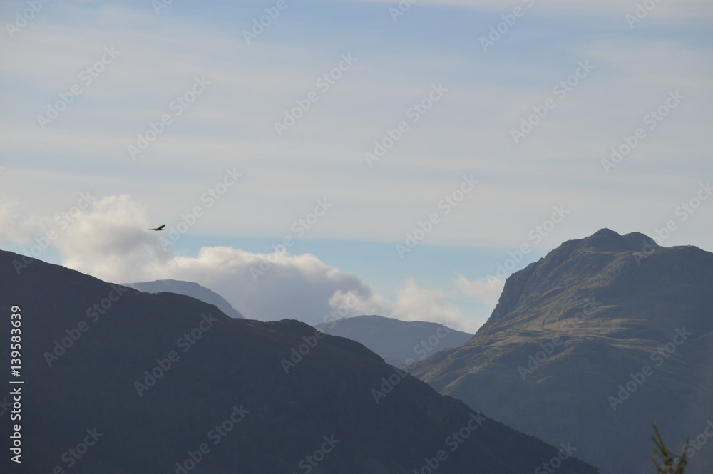 Mountain tops with buzzard