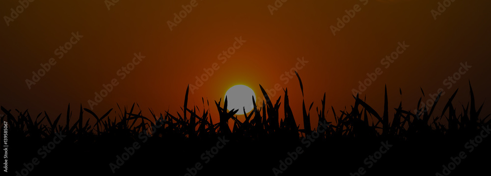 Sunset with sun and clouds in orange and golden light Sunset with sun and clouds in orange and golden light