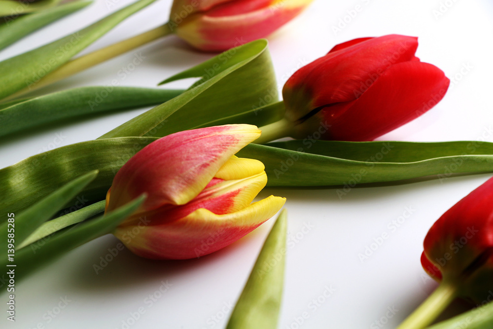 Beautiful bouquet of fresh red and yellow tulips on a white background Beautiful bouquet of fresh red and yellow tulips on a white background